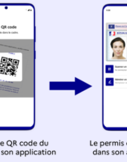 Permis de conduire dématérialisé